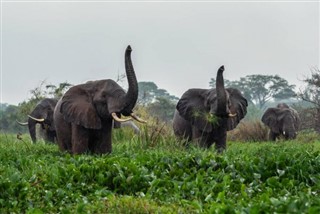 Angola sääennuste