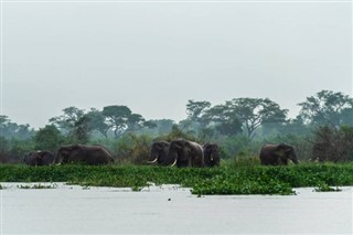 Angola vremenska prognoza