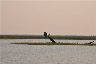 Angola vremenska prognoza