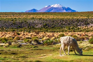 Argentina weather forecast