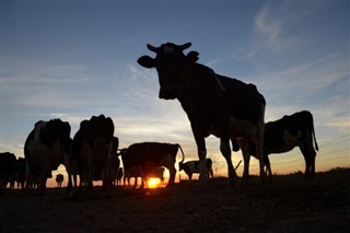 Argentina vremenska prognoza