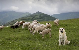 Armenija vremenska prognoza