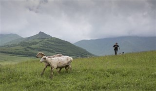 Armenia weather forecast