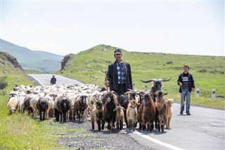 Armenia weather forecast