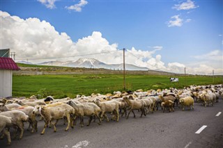 Armenia weather forecast