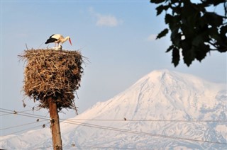 Armenia prognoza pogody