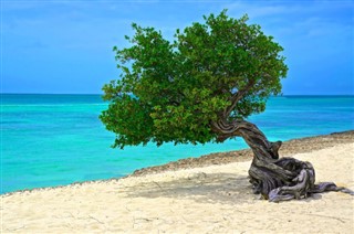 Aruba pronóstico del tiempo