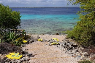 Aruba weather forecast