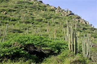 Aruba weather forecast