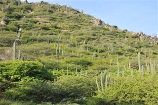 Aruba weather forecast