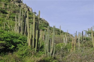 Aruba weather forecast