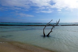 Aruba weather forecast