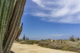 Aruba prognoza pogody