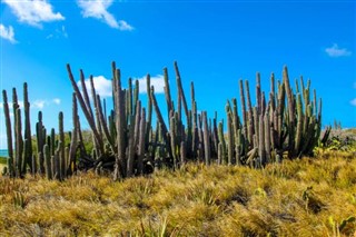 Aruba weather forecast