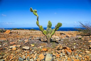 Aruba weather forecast