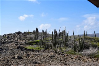 Aruba weather forecast