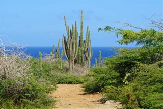 Aruba weather forecast