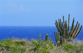 Aruba weather forecast