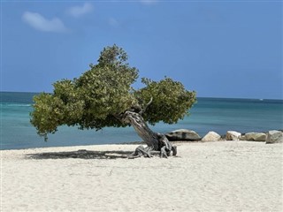 Aruba weather forecast