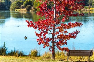 Australia weather forecast