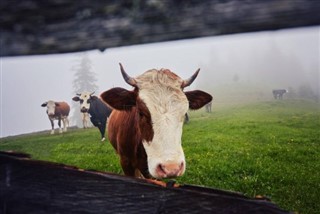 Australija vremenska prognoza