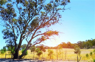 Australia weather forecast