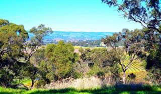 Australia weather forecast