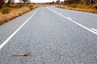 Australia weather forecast