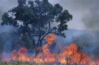 Australia weather forecast