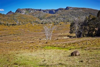 Australia prognoza pogody