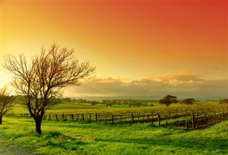 Australia weather forecast