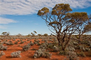 Australia weather forecast