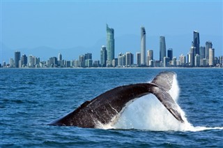 Australia weather forecast