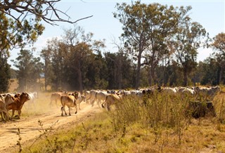 Australia prognoza pogody