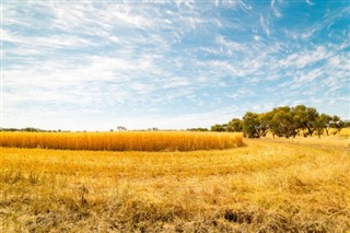 Australia weather forecast