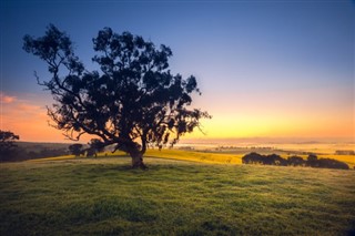 Australia weather forecast