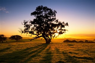 Australia weather forecast