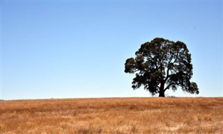 Australia weather forecast