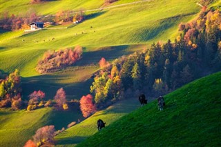 Austria weather forecast