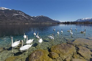 Austria weather forecast