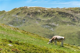 Austria weather forecast