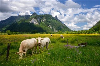 Austria weather forecast