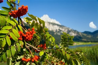 Austria weather forecast