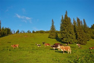 Austria weather forecast