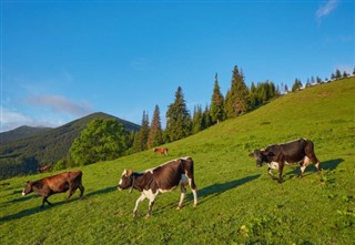 Austria weather forecast