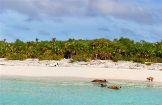 Bahamas pronóstico del tiempo