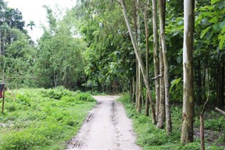 Bangladesh weather forecast