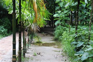 Bangladesh weather forecast