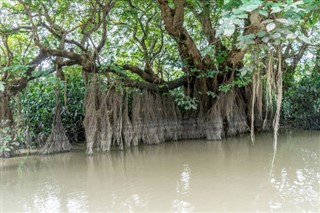 Bangladesh weather forecast