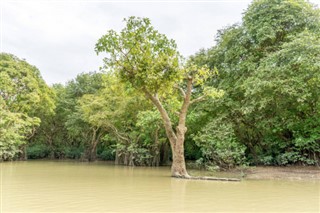 Bangladesh weather forecast